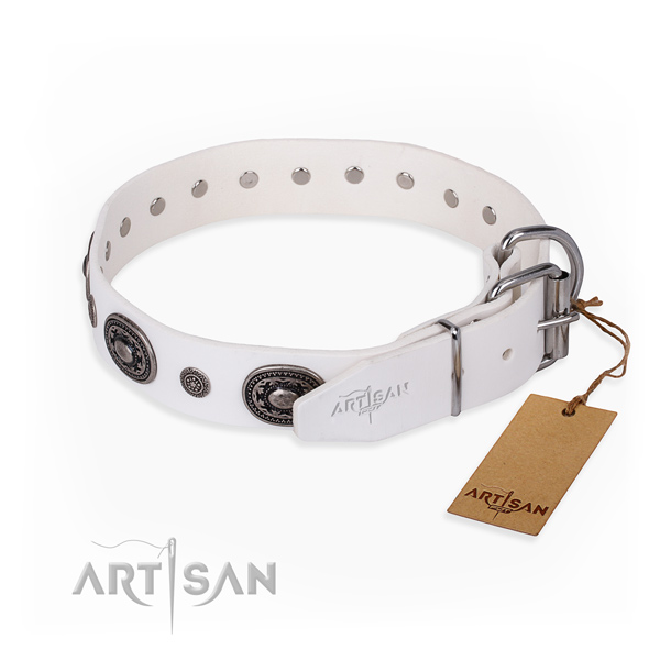 Daily leather collar for your noble canine