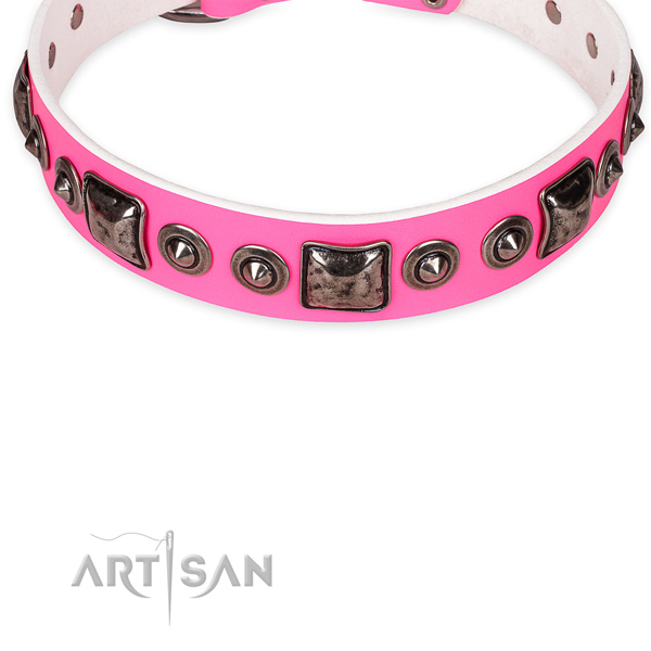 Dependable leather dog collar with corrosion-resistant fittings