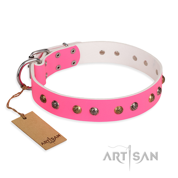 Impressive design embellishments on genuine leather dog collar