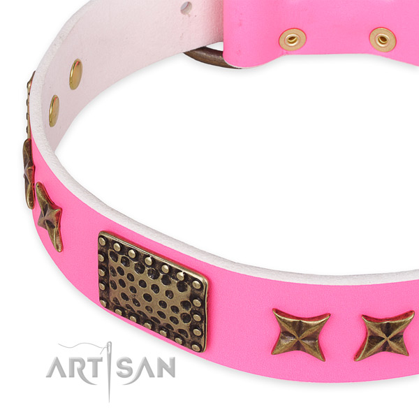 Quick to fasten leather dog collar with extra sturdy durable buckle
