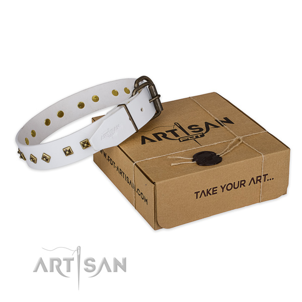 Fashionable full grain leather dog collar for walking