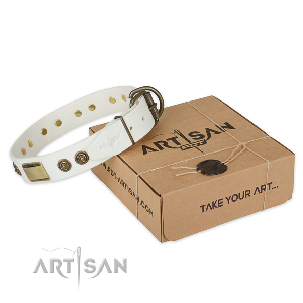 Best quality full grain leather dog collar for everyday walking