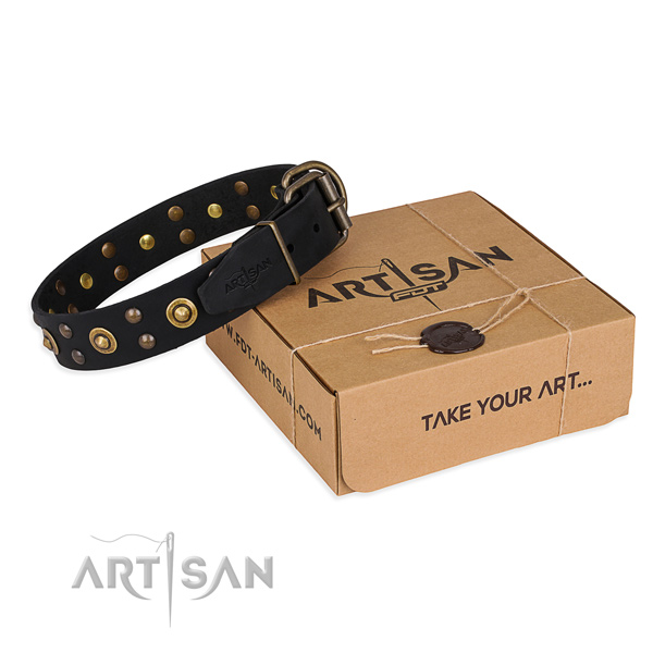 Top notch leather dog collar for daily use