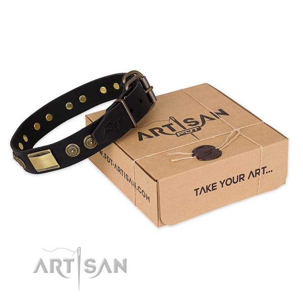 Fashionable full grain genuine leather dog collar for everyday walking