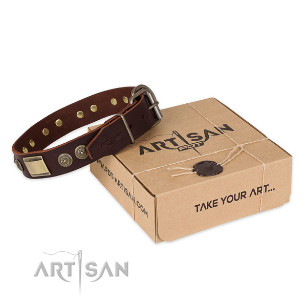 Designer full grain natural leather dog collar for daily walking