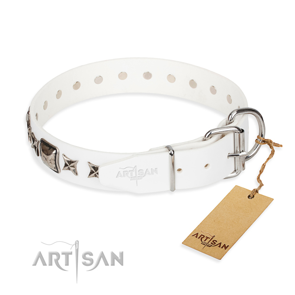 Daily leather collar for your darling dog