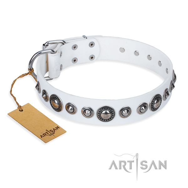 Multifunctional leather collar for your stunning canine