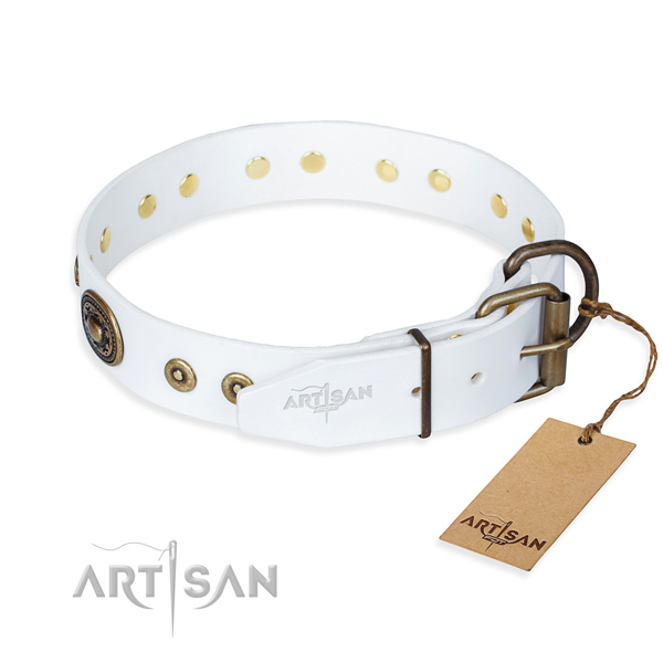 Functional leather collar for your gorgeous canine
