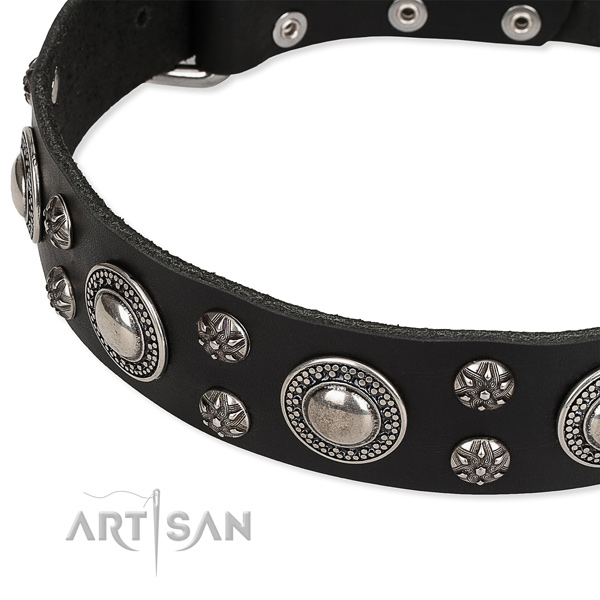 Easy to adjust leather dog collar with extra strong chrome plated buckle