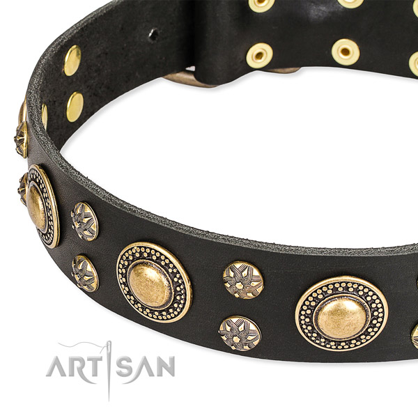 Quick to fasten leather dog collar with extra sturdy fittings