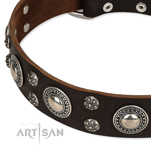 Snugly fitted leather dog collar with extra strong rust-proof buckle and D-ring