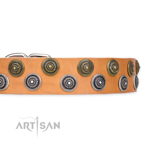 Easy to use leather dog collar with extra sturdy chrome plated buckle