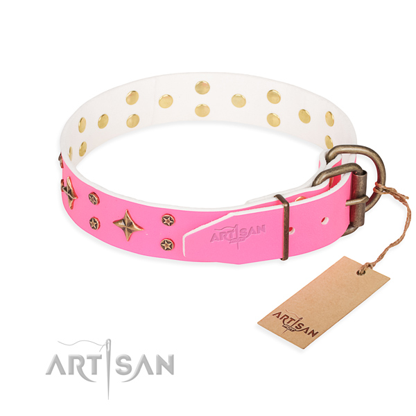 Tear-proof leather collar for your beloved four-legged friend