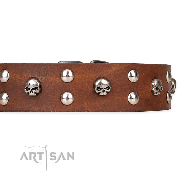 Hardwearing leather dog collar with sturdy details