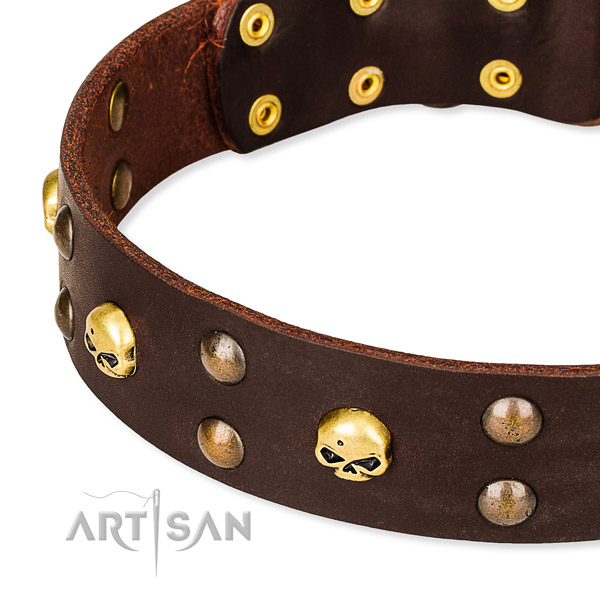 Leather dog collar with thoroughly polished edges for comfy daily walking