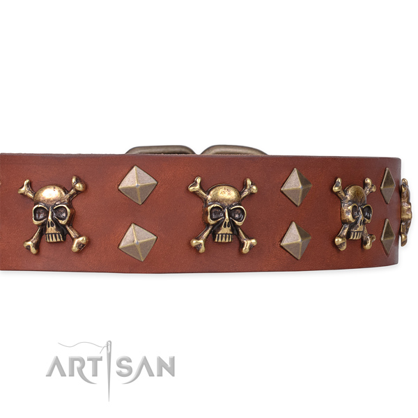 Daily leather dog collar for safe pet control
