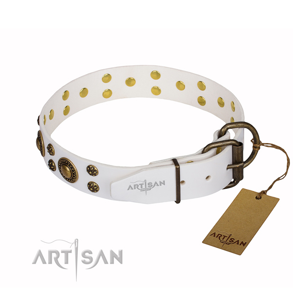 Versatile leather collar for your handsome canine