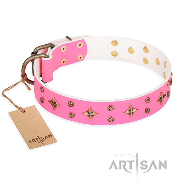 Strong leather dog collar with strong details