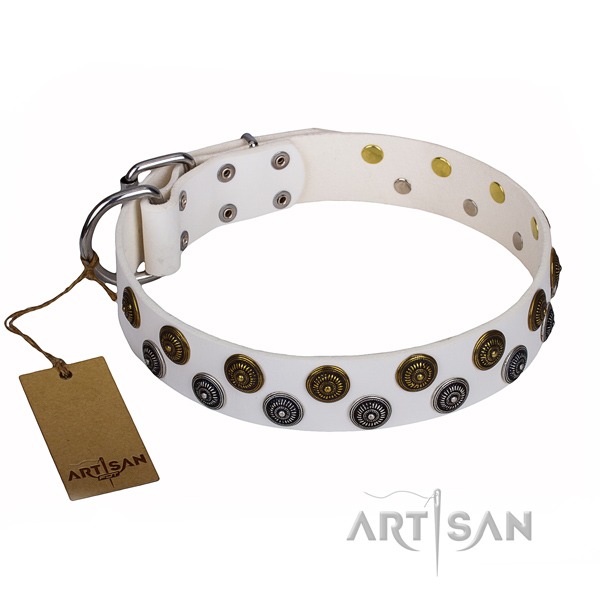 Durable leather collar for your beloved pet