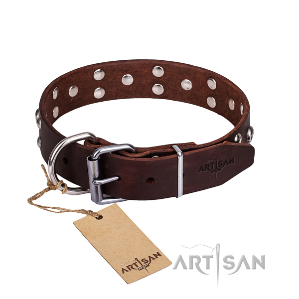 Fancy leather dog collar for training