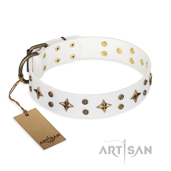 Tough leather dog collar with non-corrosive hardware