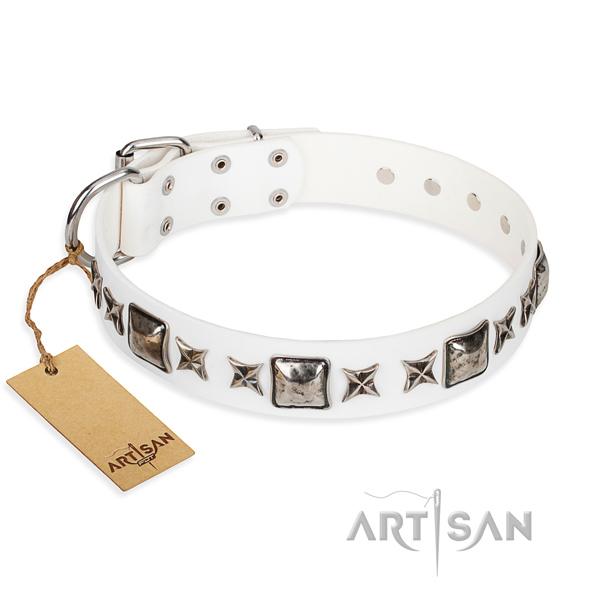 Reliable leather dog collar with chrome plated elements