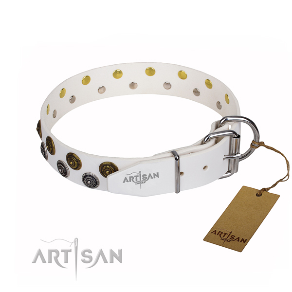 Durable leather dog collar with corrosion-resistant hardware