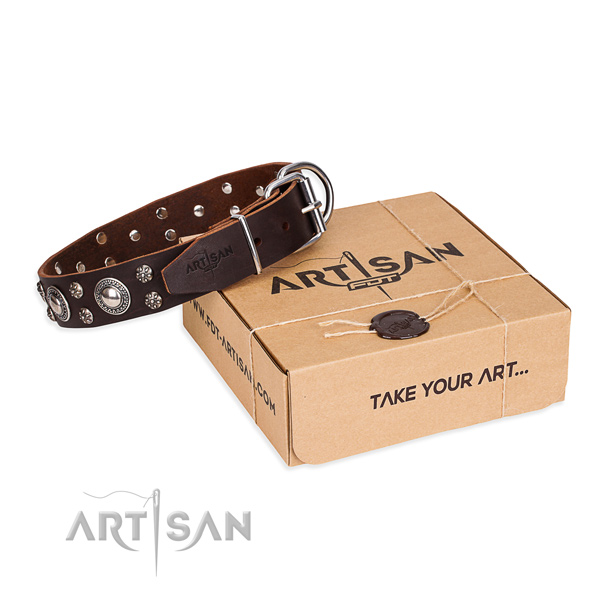 Daily leather dog collar with extraordinary adornments