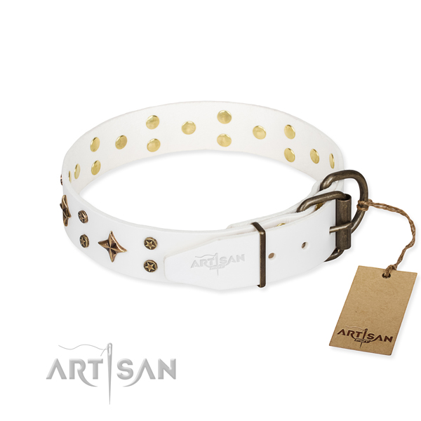 Functional leather collar for your noble pet