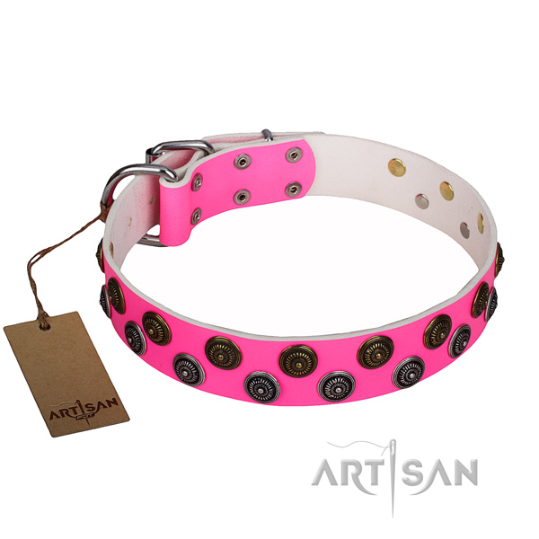 Awesome leather collar for your darling pet