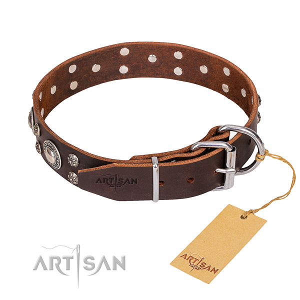 Genuine leather dog collar with polished surface