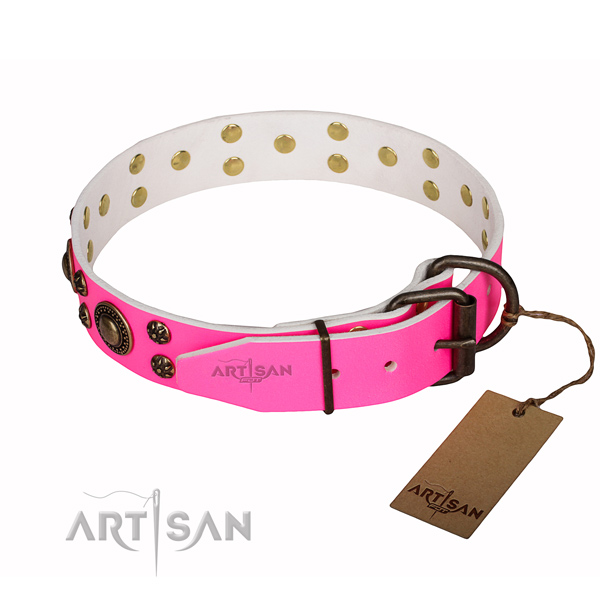 Sturdy leather dog collar with strong elements