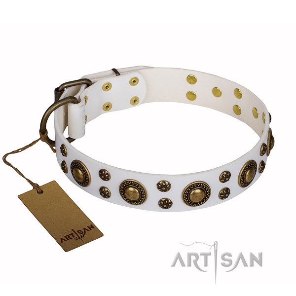 Long-wearing leather dog collar with strong details
