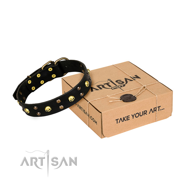 Daily leather dog collar with astonishing adornments
