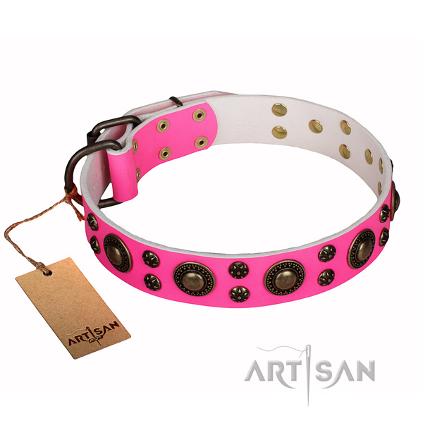 Practical leather collar for your stunning four-legged friend