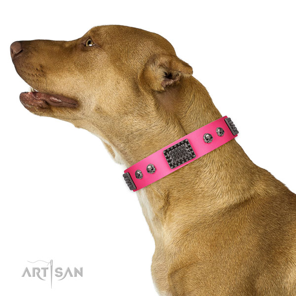 Easy to adjust leather collar for your beautiful doggie