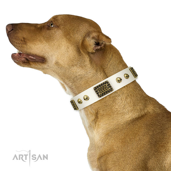 Reliable D-ring on genuine leather dog collar for daily use