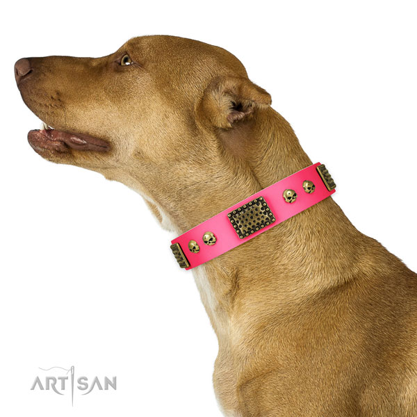 Durable traditional buckle on leather dog collar for stylish walking