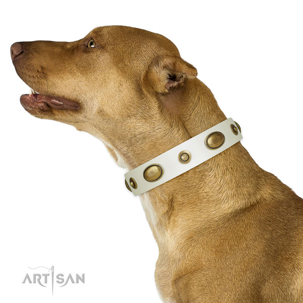Easy wearing dog collar of natural leather with fashionable decorations