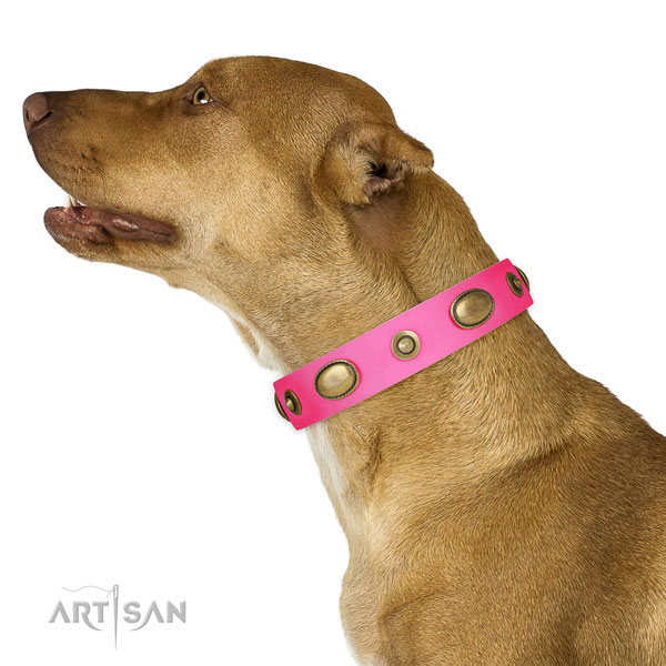 Basic training dog collar of genuine leather with stylish design decorations