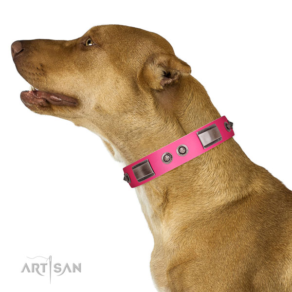 Fine quality full grain leather dog collar with studs
