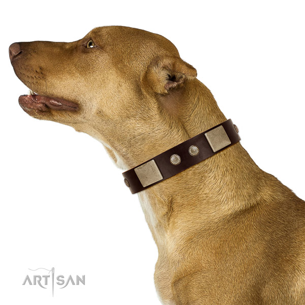 Durable D-ring on full grain leather dog collar for everyday walking