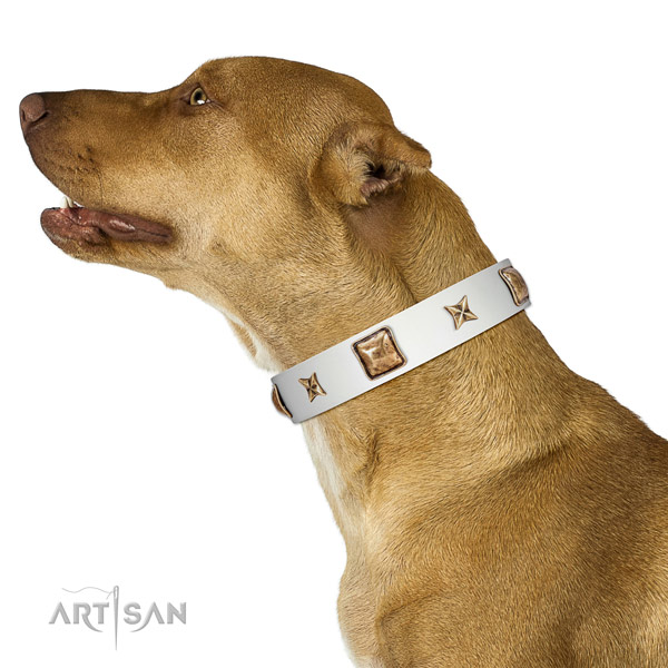 Comfortable full grain genuine leather dog collar with studs