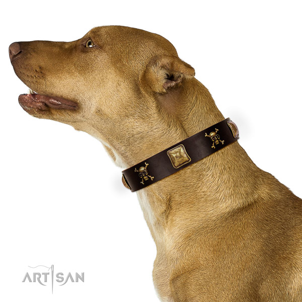 Flexible leather dog collar with extraordinary decorations