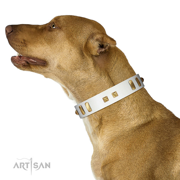 Exquisite studded genuine leather dog collar of soft to touch material