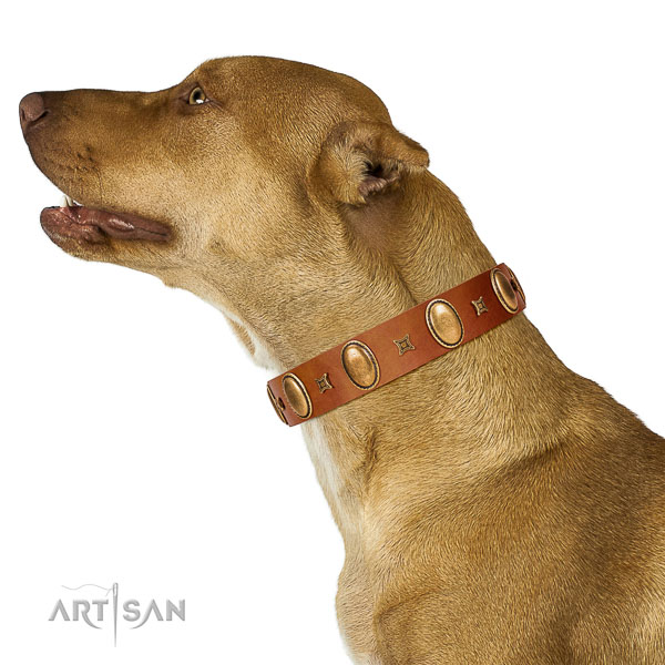 Stunning studded full grain natural leather dog collar of reliable material