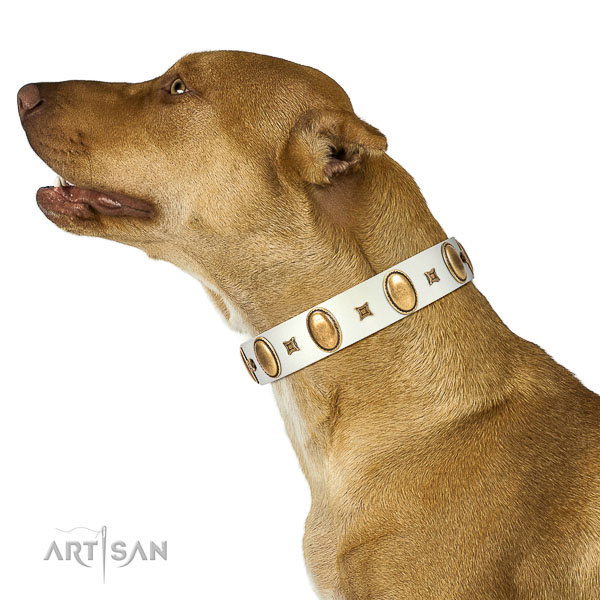 Stylish design adorned natural leather dog collar of top notch material