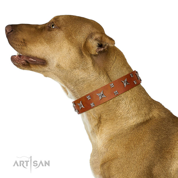 Gentle to touch full grain leather dog collar created of genuine quality material