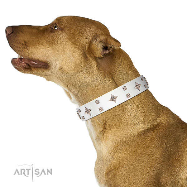 Genuine leather dog collar of soft to touch material with unusual adornments