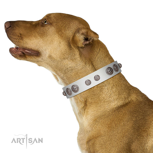 Unique dog collar crafted for your stylish four-legged friend